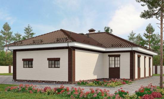 160-015-П Проект одноэтажного дома, гараж, простой дом из арболита, Еманжелинск